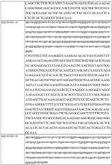 Figure BDA0002742983620000131