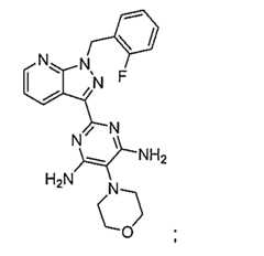 Figure 0007050759000030