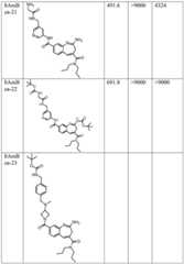 Figure BDA0003652151060000491