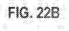 Figure imgf000344_0002