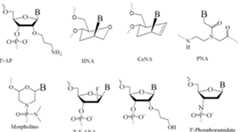 Figure imgf000033_0002