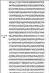 Figure BDA0002480009020001401