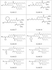 Figure BDA0003154168970000941