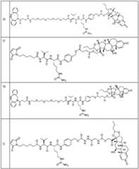 Figure BDA0002889616220001931