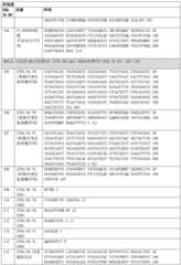 Figure BDA0003164346480001771