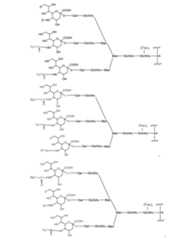 Figure 112009026250918-PCT00142