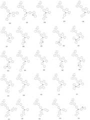 Figure FDA0002697681650000141