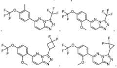 Figure imgf000023_0002