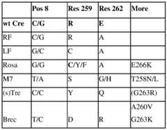 Figure imgf000044_0001