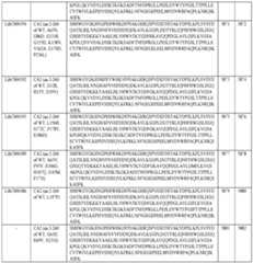 Figure imgf000031_0001