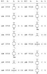 Figure FDA0003207287100000061