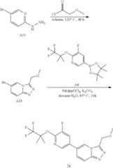 Figure US12325711-20250610-C00100