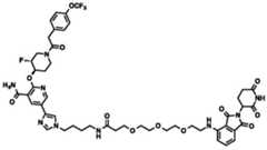 Figure BDA0002964098100002481