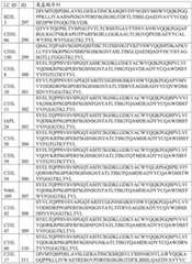 Figure BDA0002795140310001311