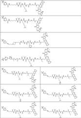 Figure PCTCN2022073822-appb-000361