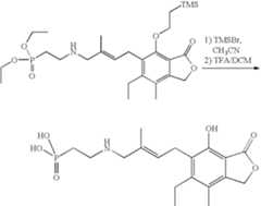 Figure US07427636-20080923-C00241