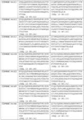 Figure imgf000083_0001