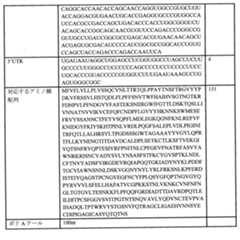 Figure 0007438604000023