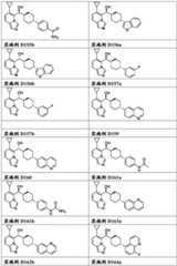 Figure FDA0003289571880000241