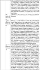 Figure BDA0004033970230006351