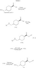 Figure US07351740-20080401-C00009