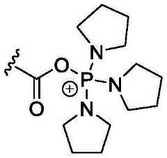 Figure BDA0003018192690002645