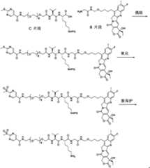 Figure PCTCN2022073822-appb-000395