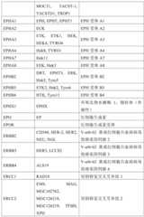 Figure BDA0001878096640000531