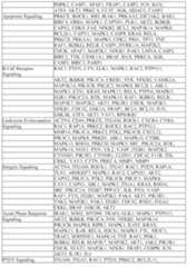 Figure imgf000448_0001