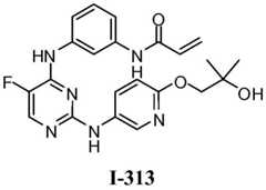 Figure BDA0001453135130003371