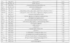 Figure imgf000084_0001