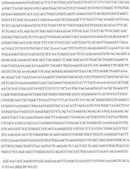 Figure GDA0002870045410000831