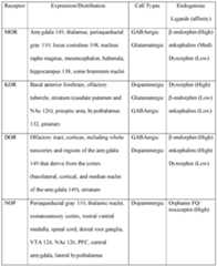 Figure imgf000017_0001