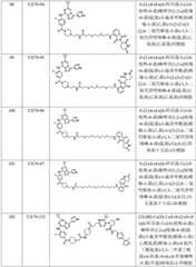 Figure BDA0002964098100002751