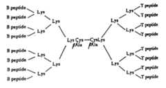Figure 00410003