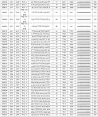 Figure 112016114379466-pct00439