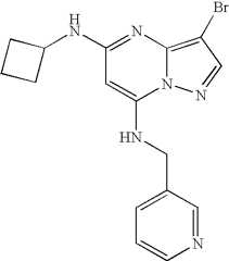 Figure US07119200-20061010-C01775