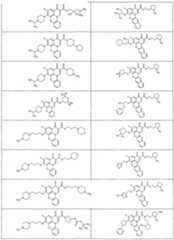 Figure imgf000131_0001