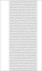 Figure BDA0002508391090001491