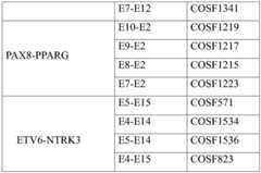 Figure BDA0002941617010000091