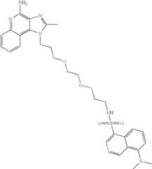 Figure US06683088-20040127-C00061