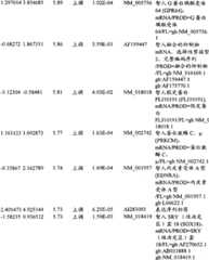 Figure BPA00001280678302381