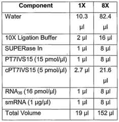 Figure imgf000025_0001