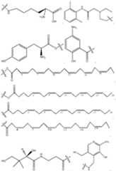 Figure imgf000007_0001