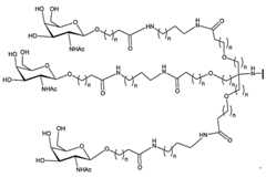 Figure 2023012548000555