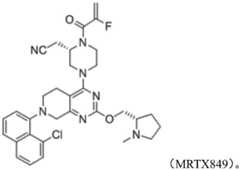 Figure FDA0003731387950000053