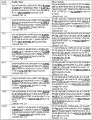 Figure imgf000048_0001