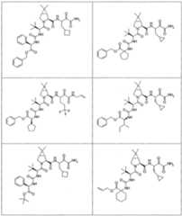 Figure imgf000205_0001