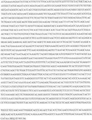 Figure GDA0002870045410000961