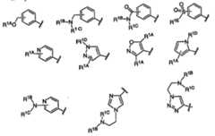 Figure 112007011503269-PCT00019